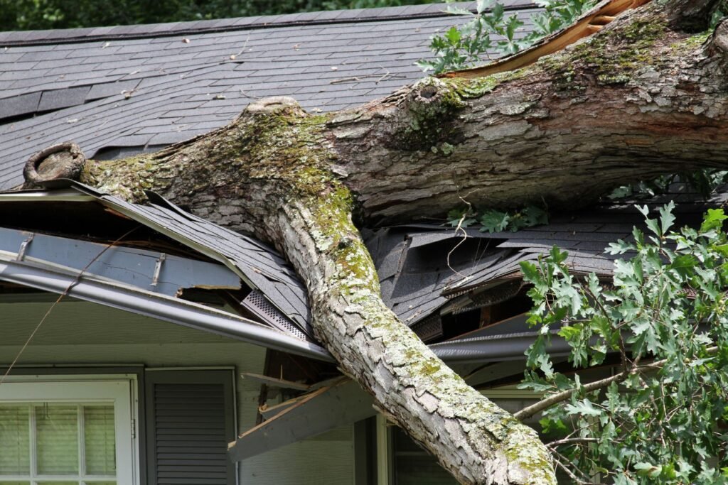 roof storm damage